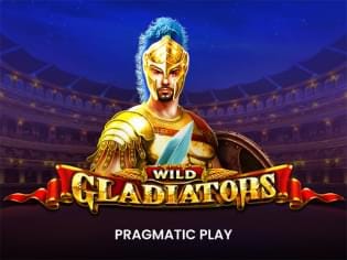 Wild Gladiators icon